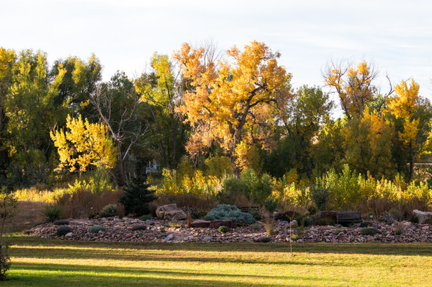 Autumn Landscaping 2.jpg